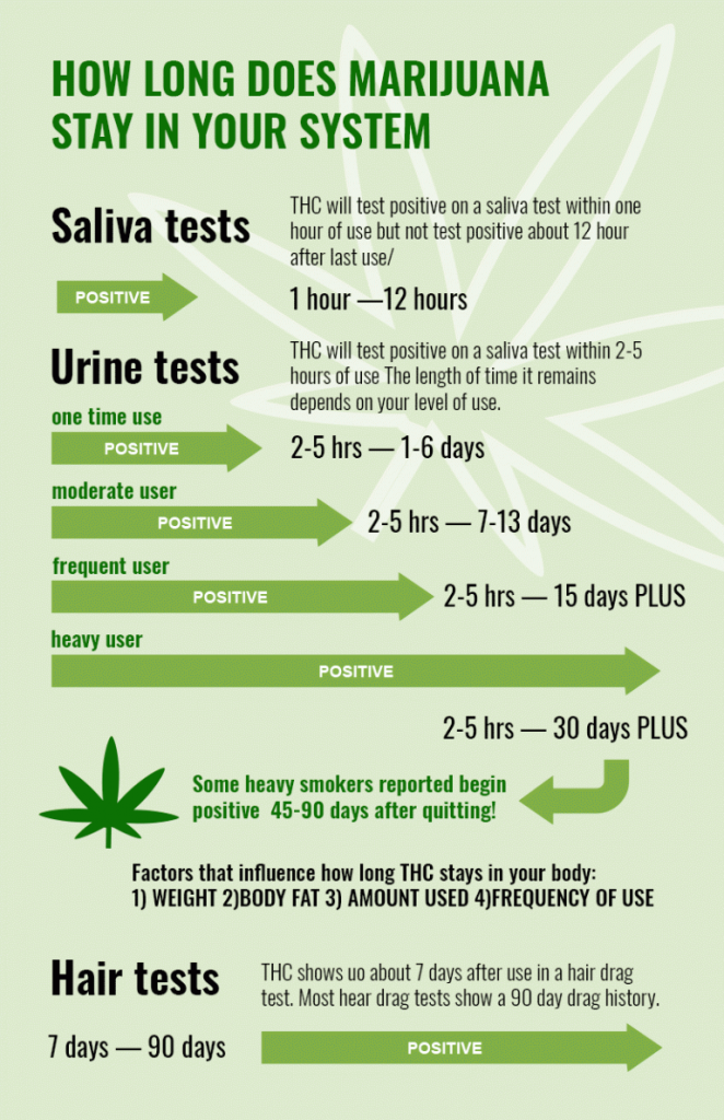 How Long Does Marijuana Stay in Your System - Urine, Saliva, Hair, and ...